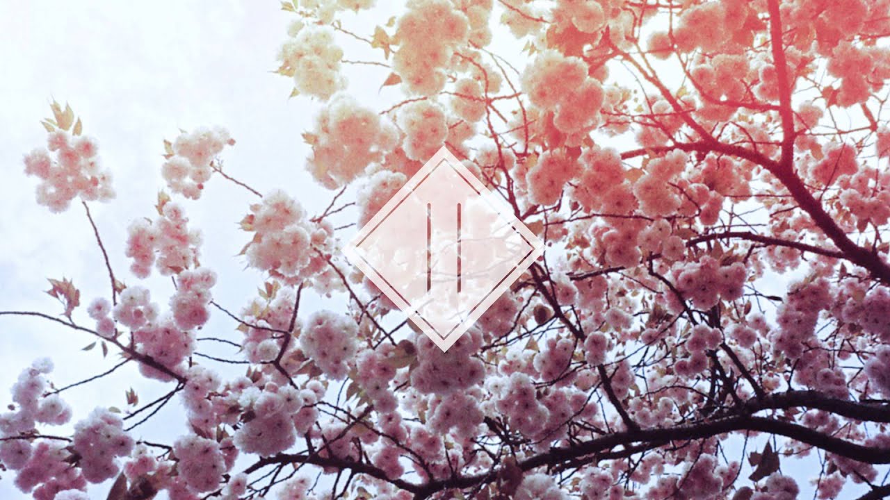 Nujabes - Feather (Citylights remix)