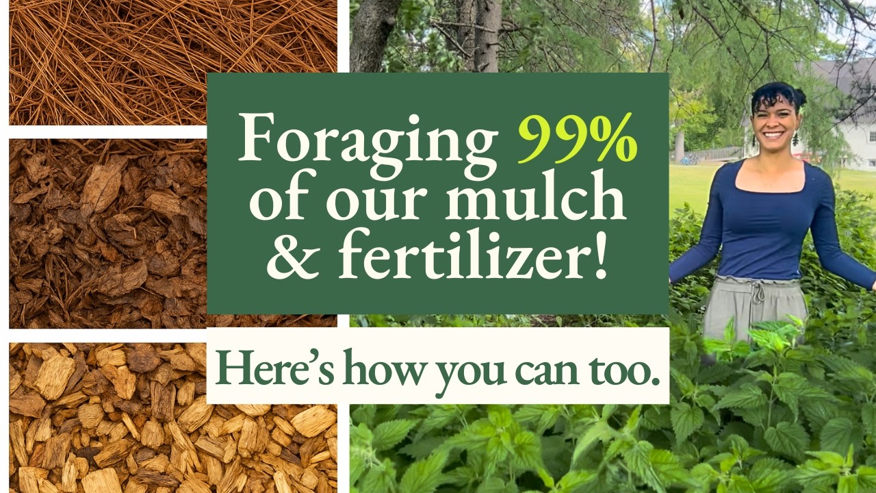 Back to Eden Gardening - Cold Climate Permaculture