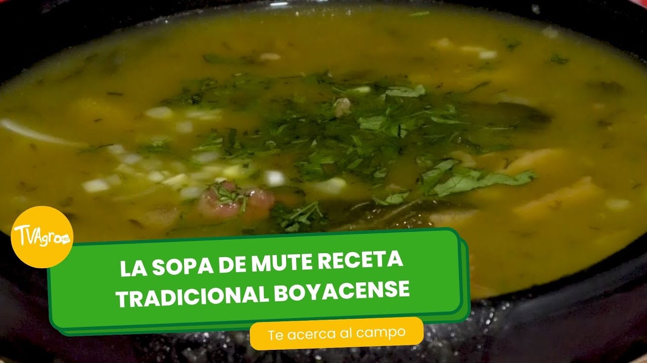 La sopa de mute receta tradicional boyacense - TvAgro por Juan Gonzalo Angel Restrepo