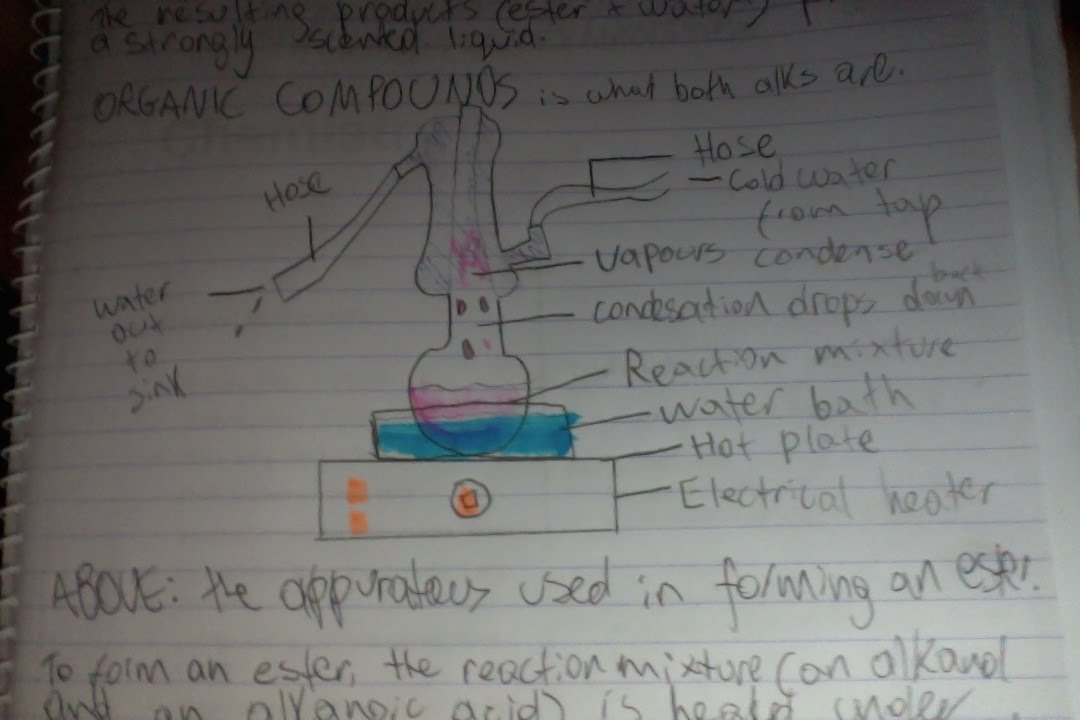 Production of an Ester