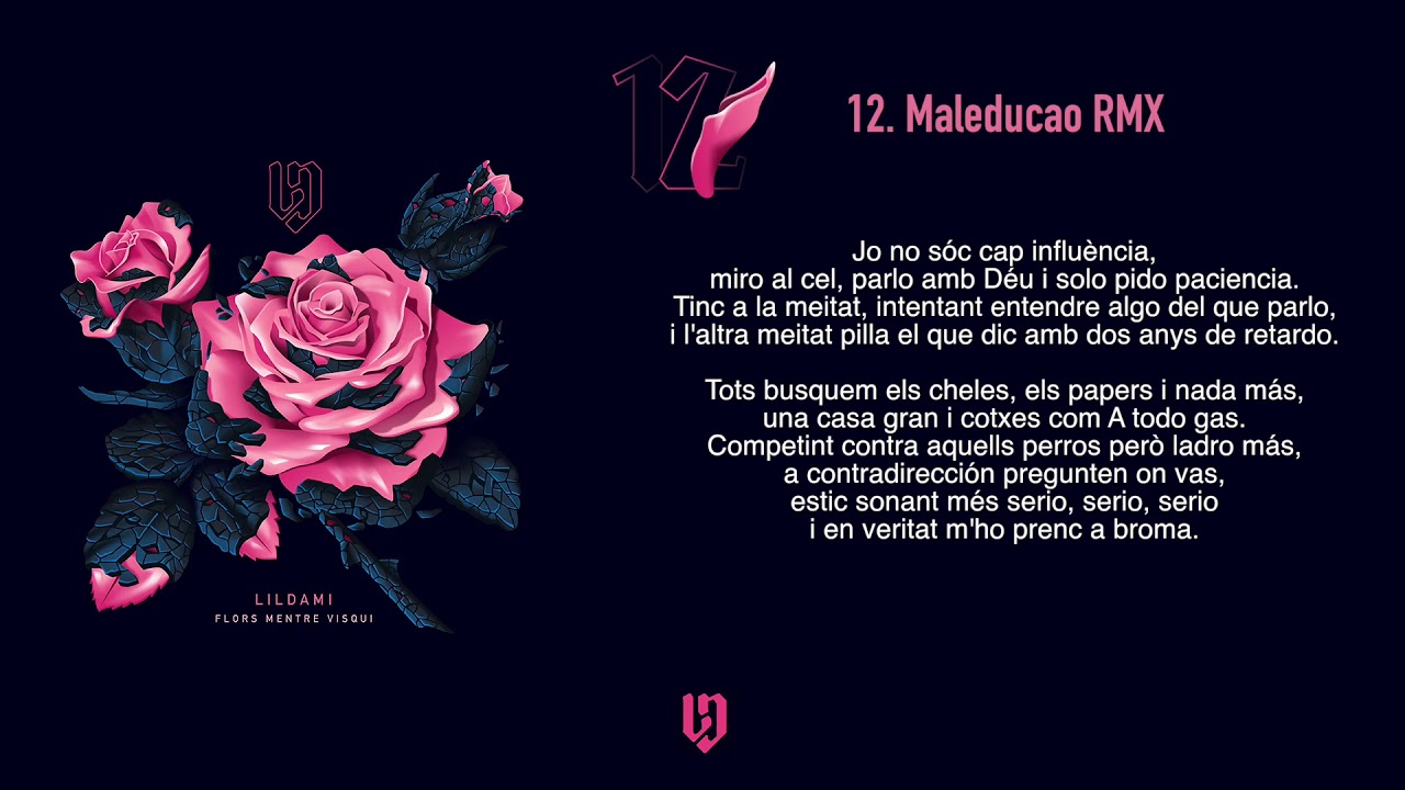LILDAMI - Maleducao RMX