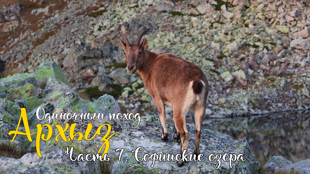 Архыз. Одиночный поход по Кавказу. Софийские озёра. Перевал Караджаш. Озеро Кратерное.