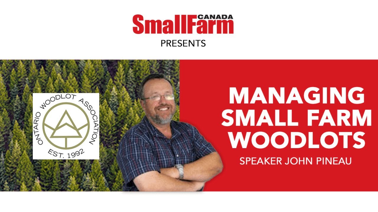 Managing Small Farm Woodlots