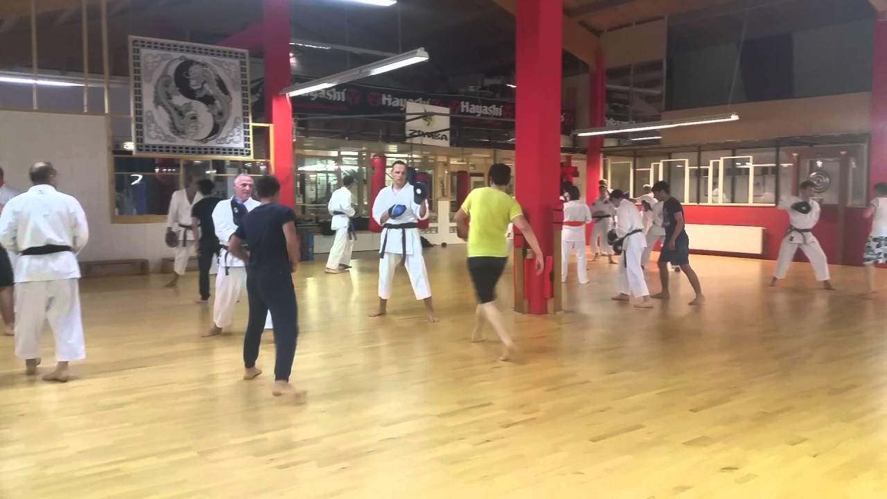 Amir Valadkhani karate dojo kelkheim #kumite #karate #kata #dojo #shotokan 