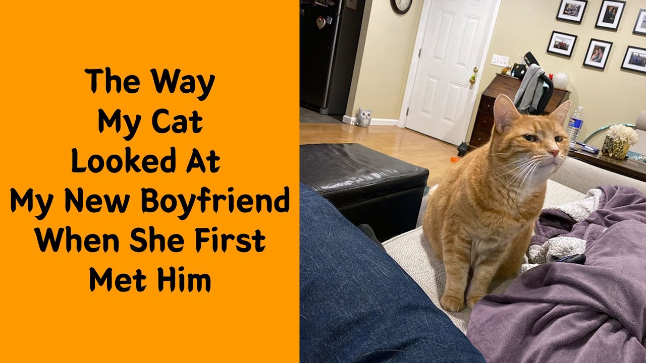 50 Of The Funniest And Cutest Pets' Reactions To Trying Something First Time