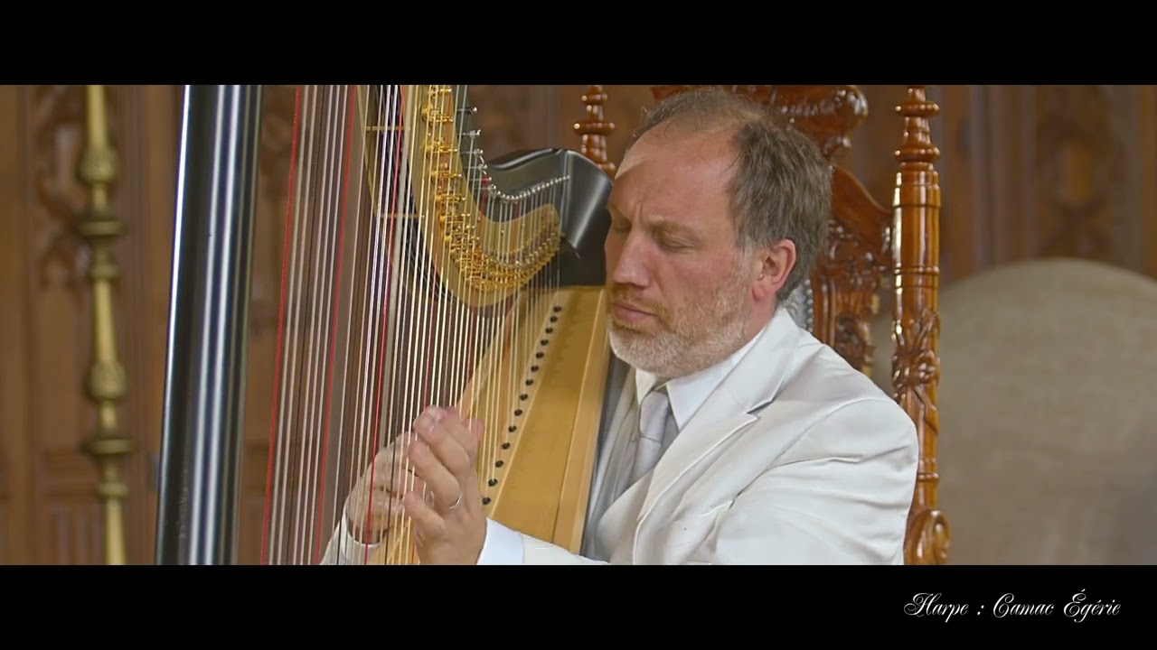 In the End - Linkin Park // harp cover