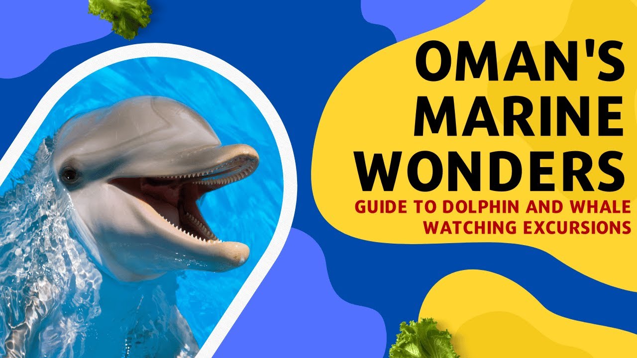 Oman's Marine Wonders: A Complete Guide to Dolphin and Whale Watching Excursions | TourzStore.com