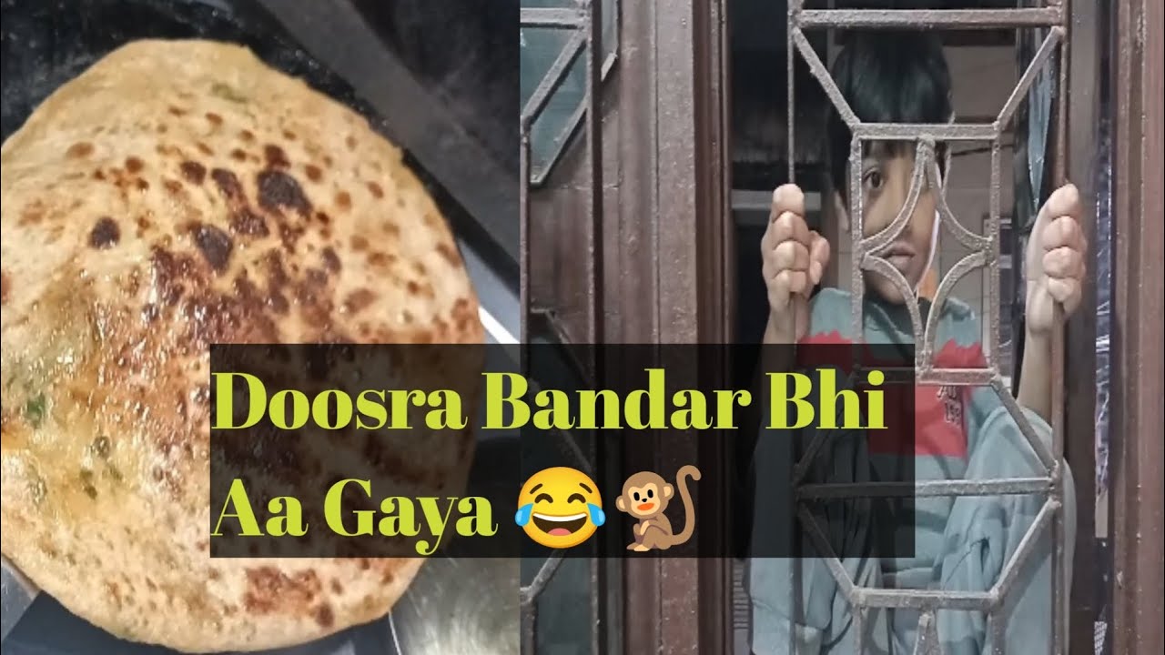 Aaj Phir Se Bandar Ki Entry! 🚪🐒