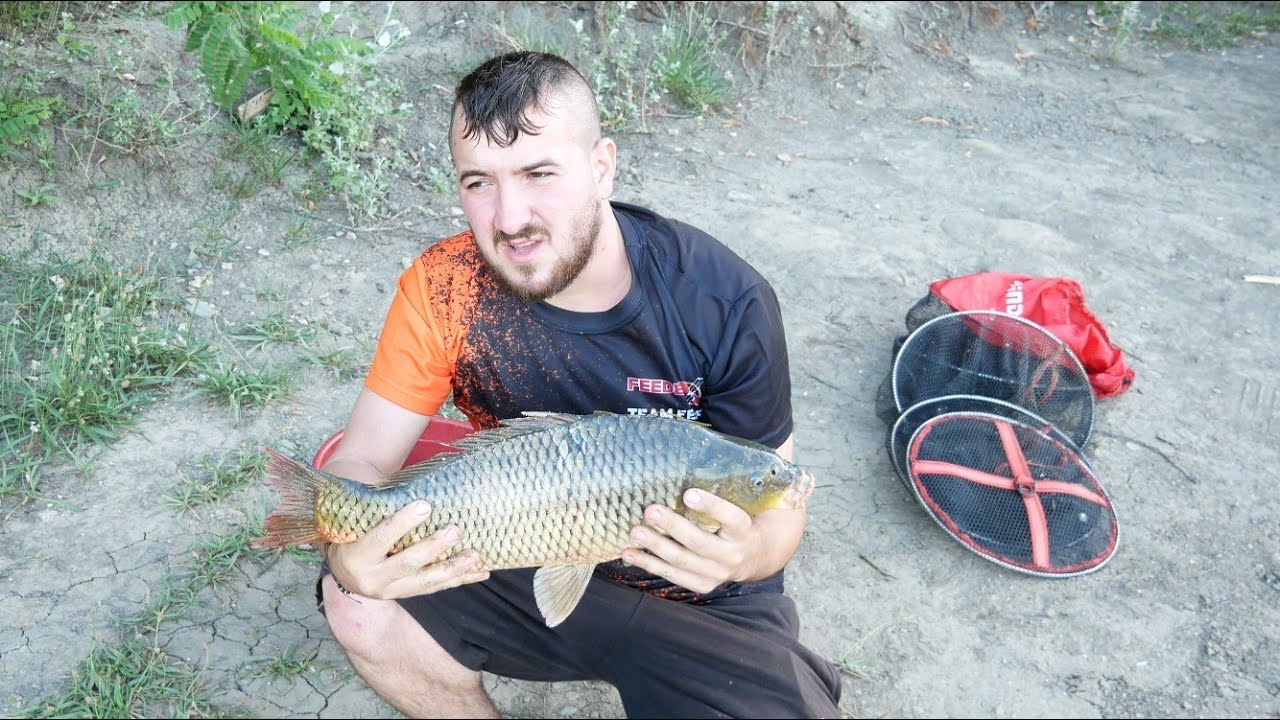 O scurta partida de pescuit la portile de fier 2, Pestele raspunde bine la feeder