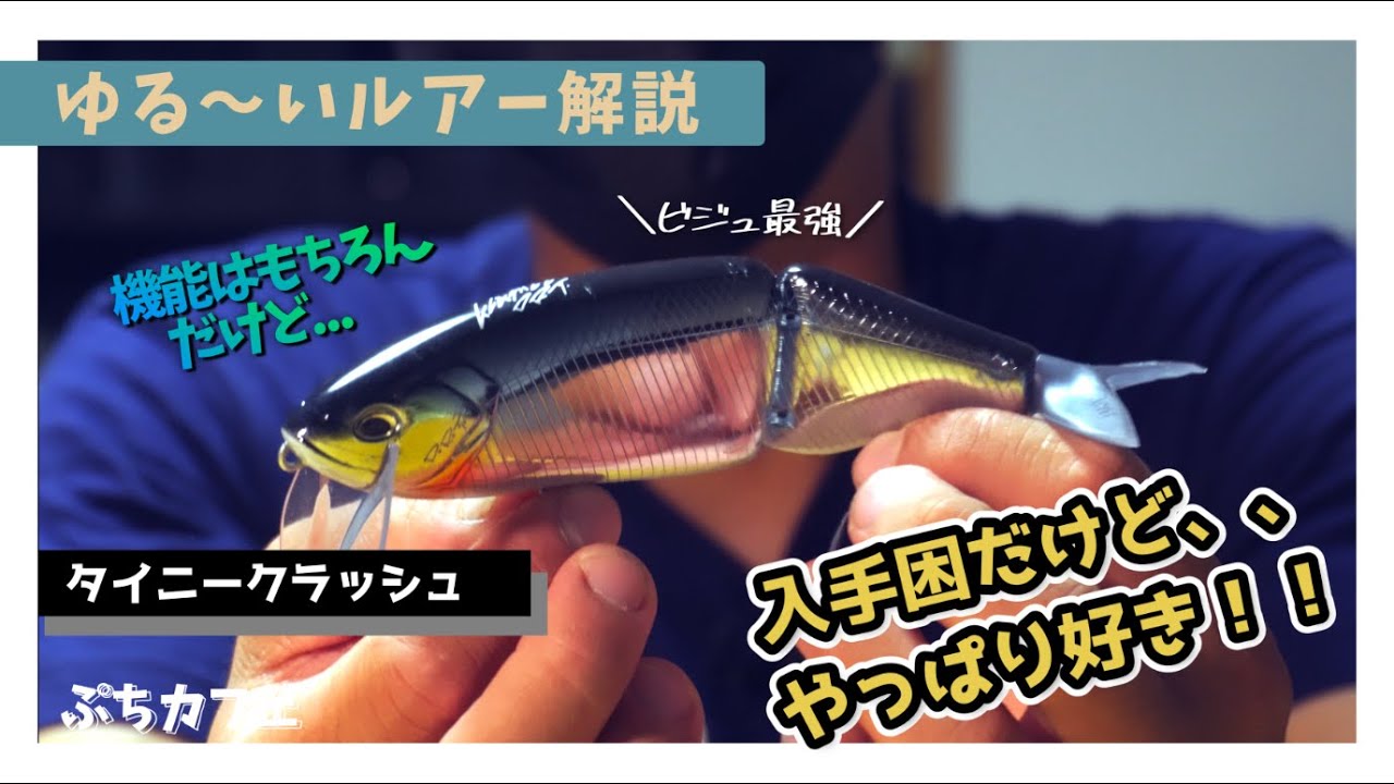 【ゆる〜いルアー解説】タイニークラッシュを我々なりに解説します！！【シーバス】