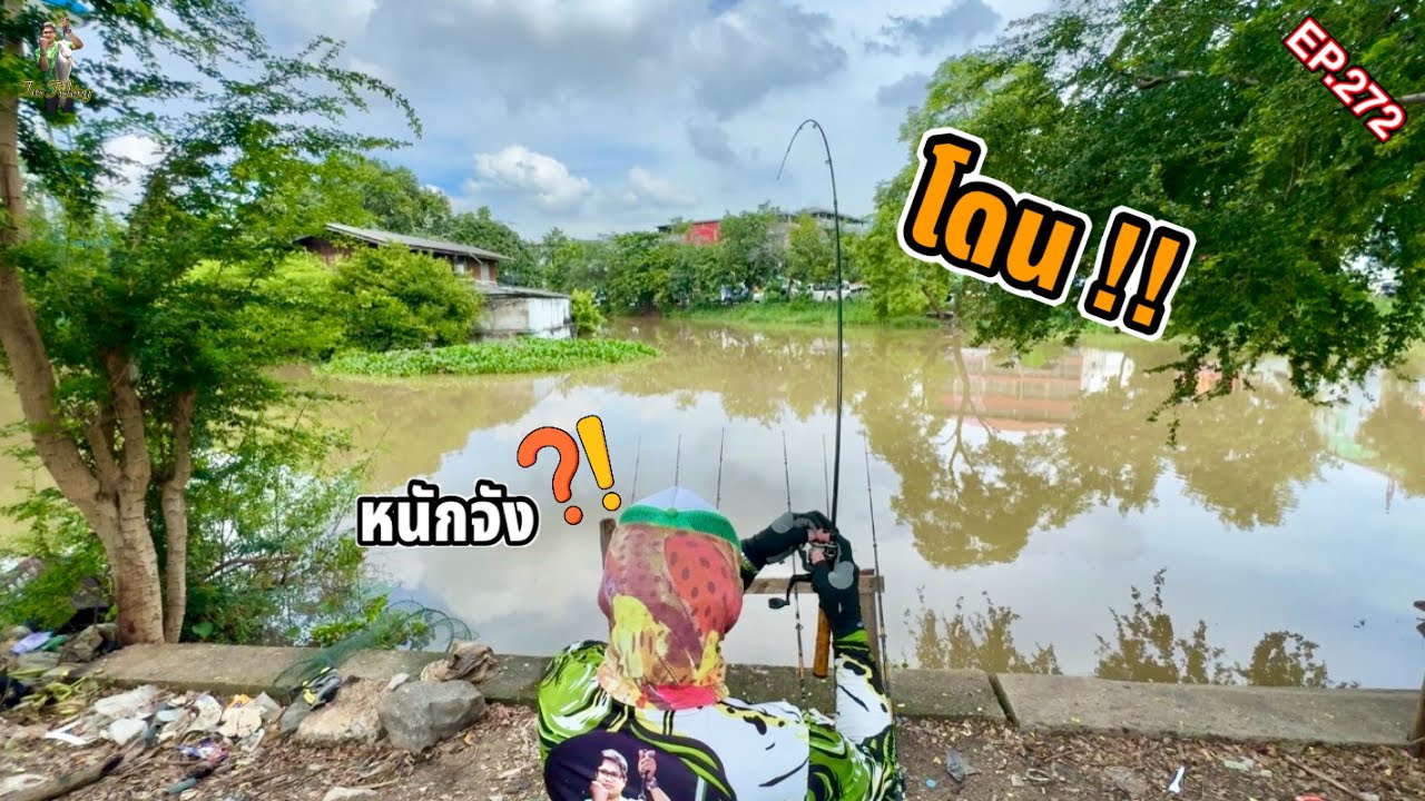 ตกปลาคลองระพีพัฒน์ คลองหนึ่ง “ปลาไซส์ดี ไซส์นี้ผ่าน” คลองธรรมชาติ
