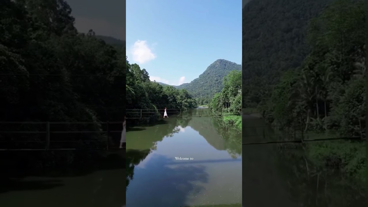 Srilanka kithulgala location #trending #travel #shorts #uk