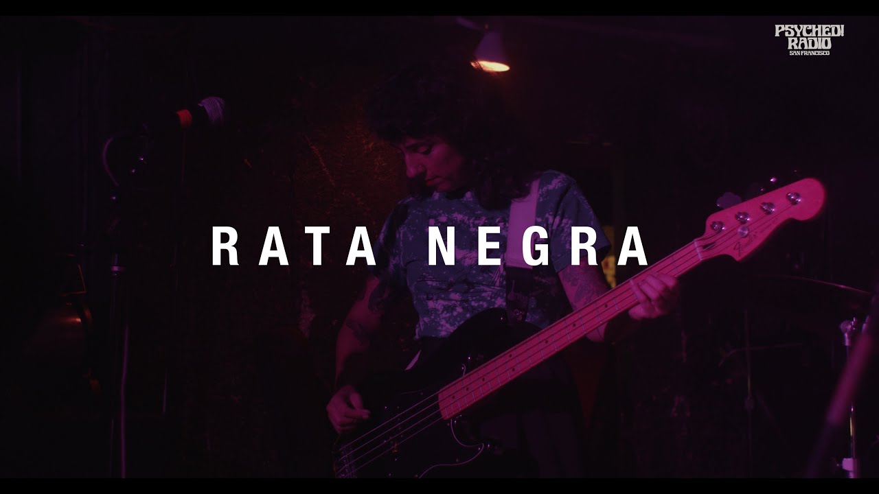 Rata Negra - Desconfia De Ese Chico. Live at The KnockOut
