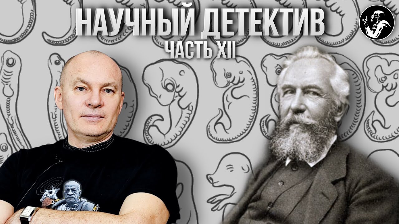 Научный детектив: Ansturm auf Theismus  (12/12)