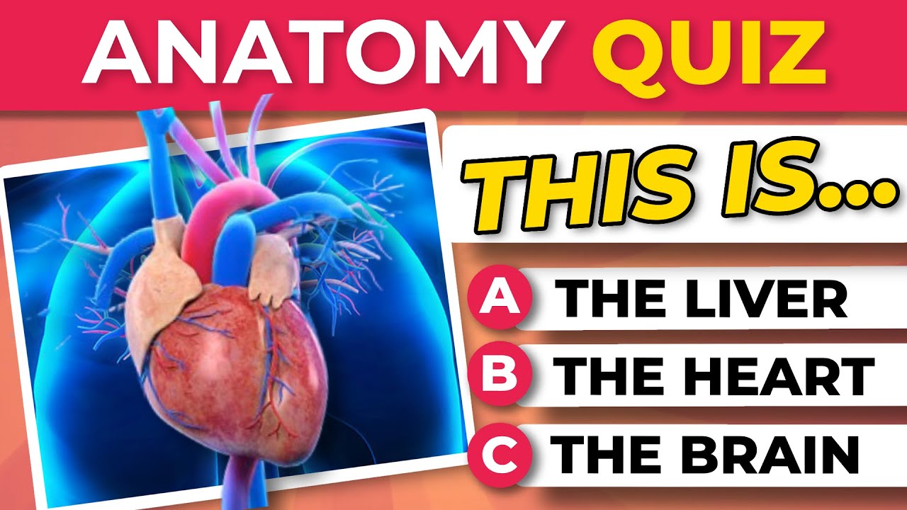 ULTIMATE ANATOMY QUIZ 🫀 | General Knowledge Quiz