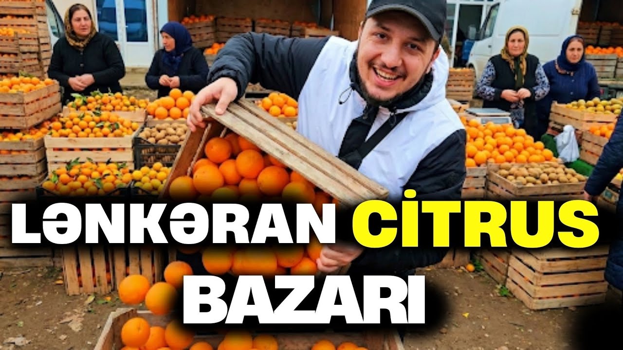 Цитрусовый рынок Ленкорани 2025 🍊 Цены на мандарины и апельсины | Опт и розница – Travel Vlog