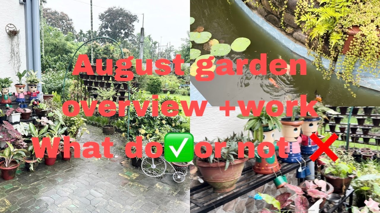 August garden overview +work/What to✅ or ❌  