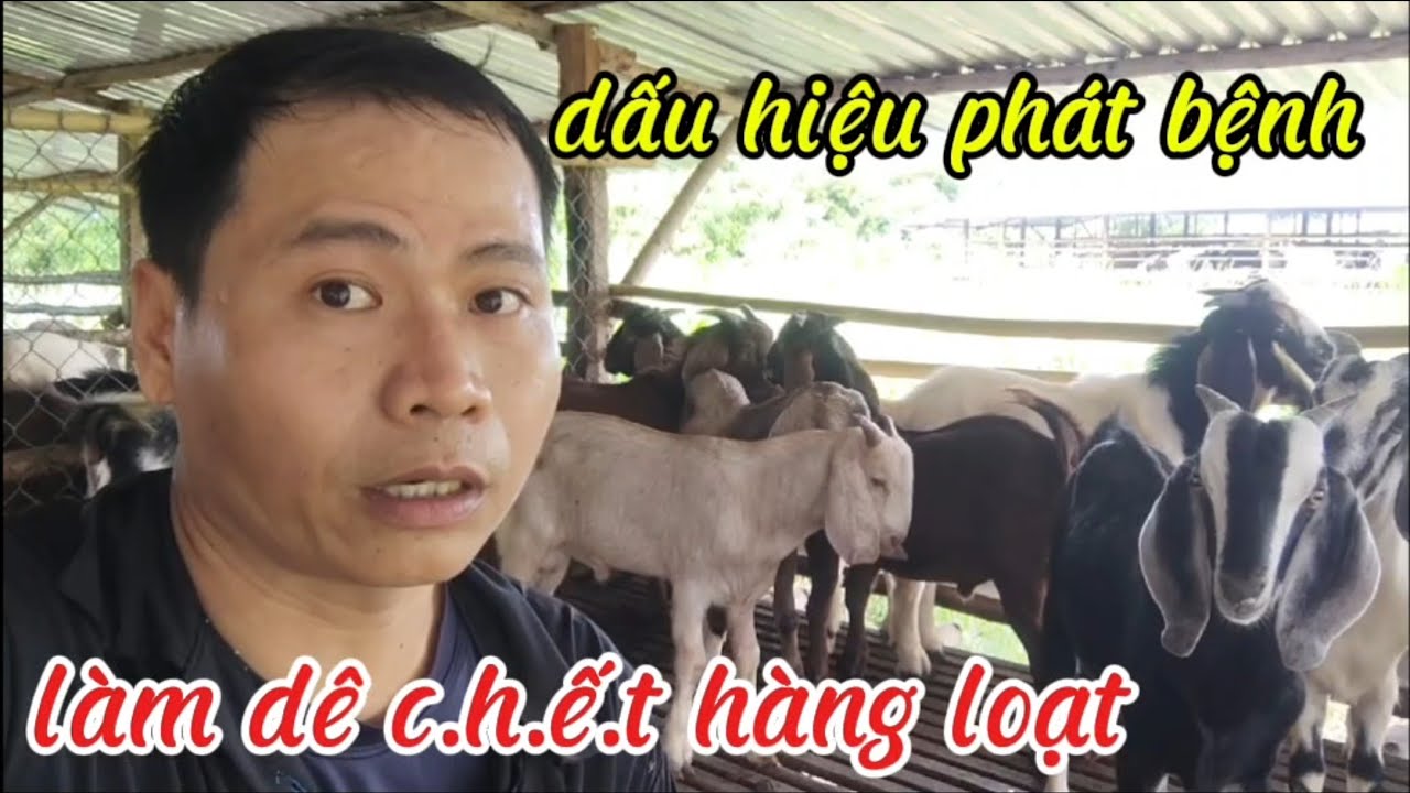 Dấu hiệu bệnh mới tr&ecirc;n d&ecirc; b&agrave; con xem để biết m&agrave; để ph&ograve;ng 