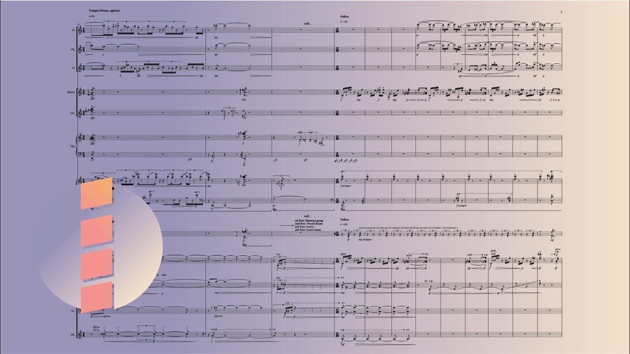 Emre Sihan Kaleli - Seventeen Thoughts on a Chamber Concerto [w/ score]