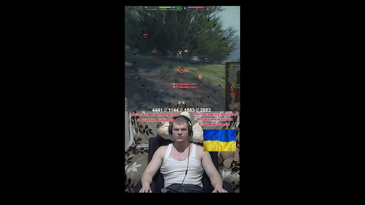 Санизи стримить