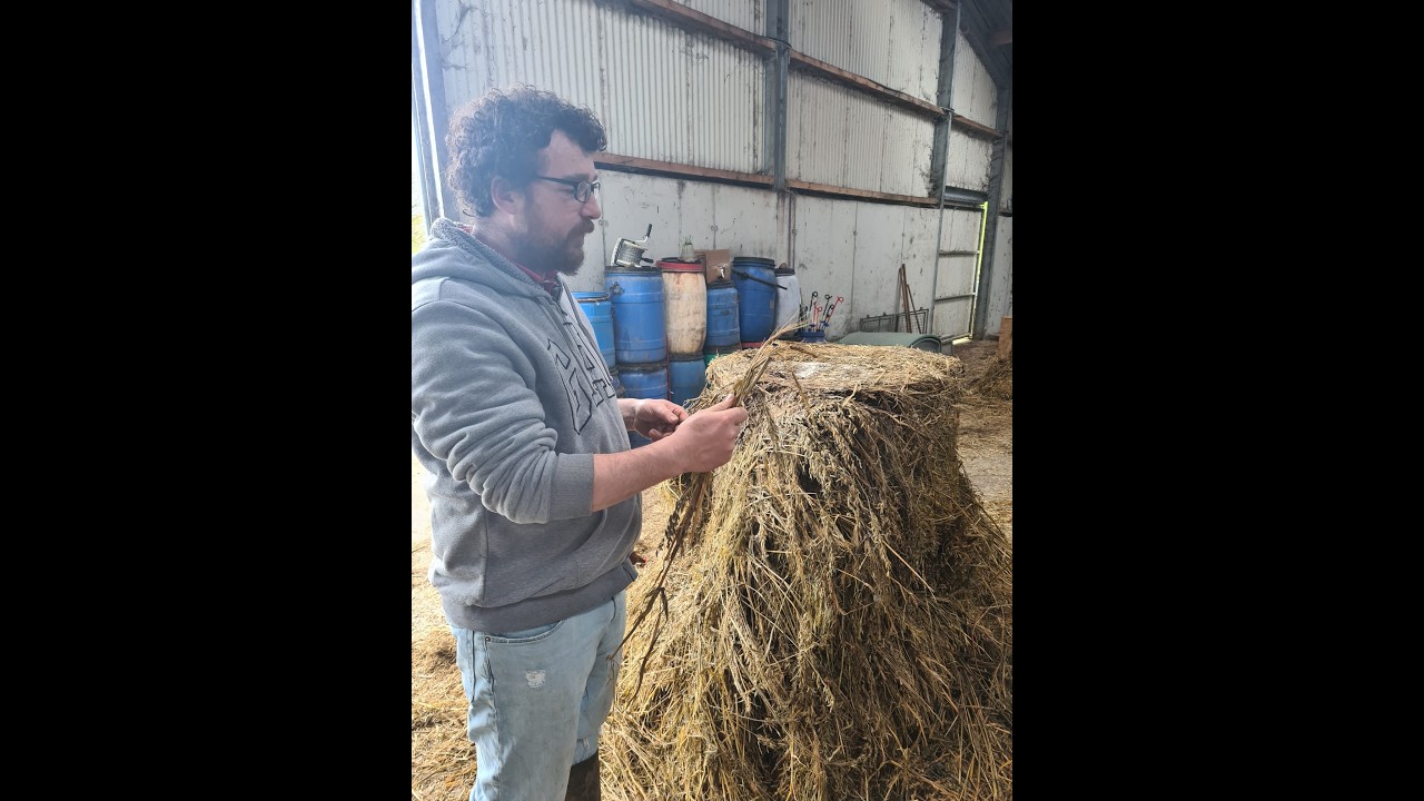 On the Way Back to Full-Time Farming Using Nature and Biology in Co. Kerry - Ambassador Tommy Reidy