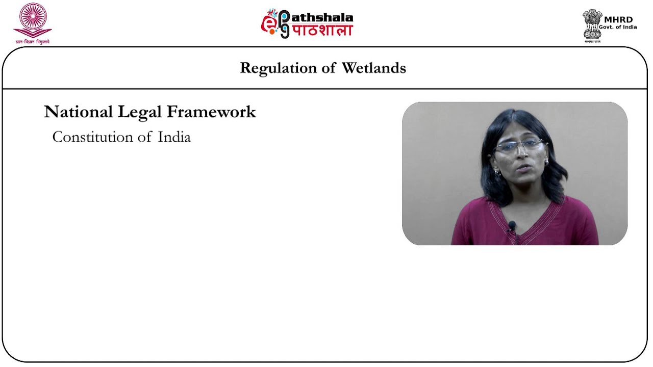 regulation of wetlands