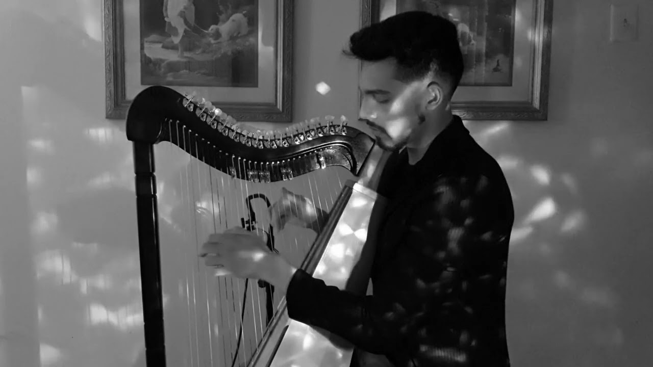 Björk - Pagan Poetry Harp cover