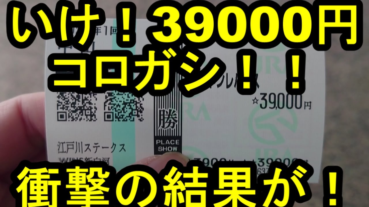 【競馬に人生】愛の複勝転がし！そこに愛はあるんかい？