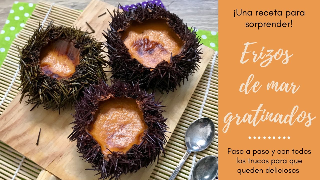 CÓMO HACER ERIZOS DE MAR u ORICIOS GRATINADOS⭐ Receta Deliciosa para SORPRENDER💯