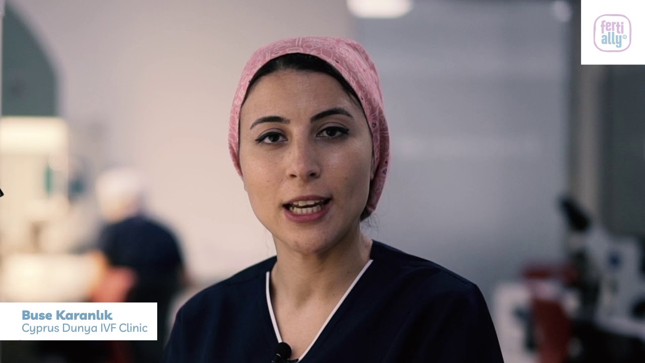 Is it better to carry out the embryo transfer on day-3 rather than waiting till day-5?