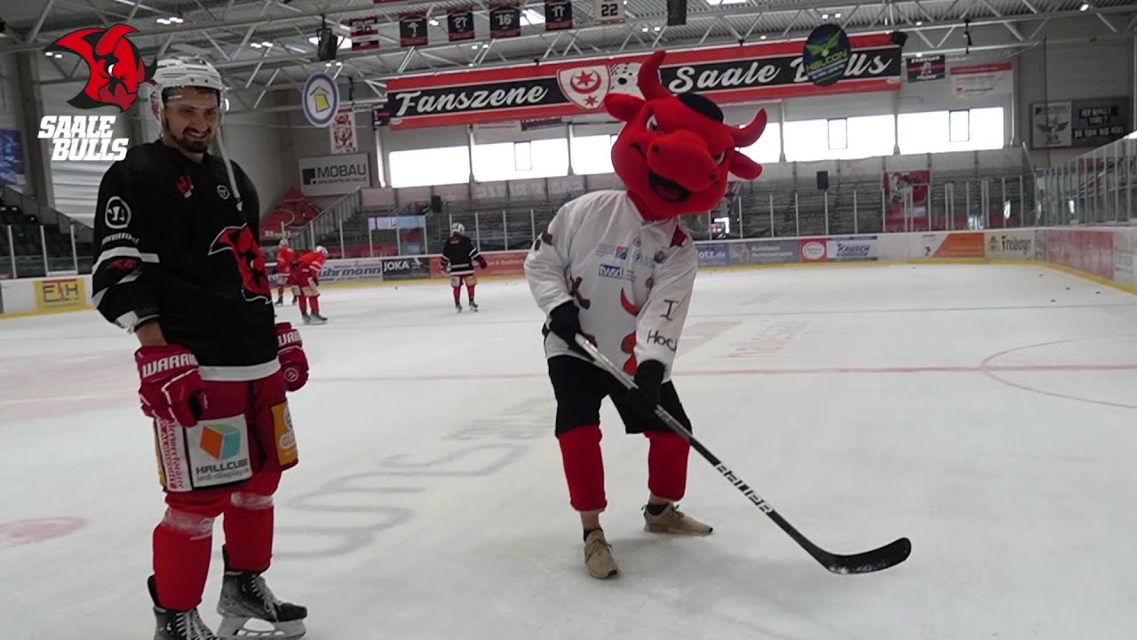 Saale Bulls: Flucki sprintet beim Maskottchenlauf zum Sieg
