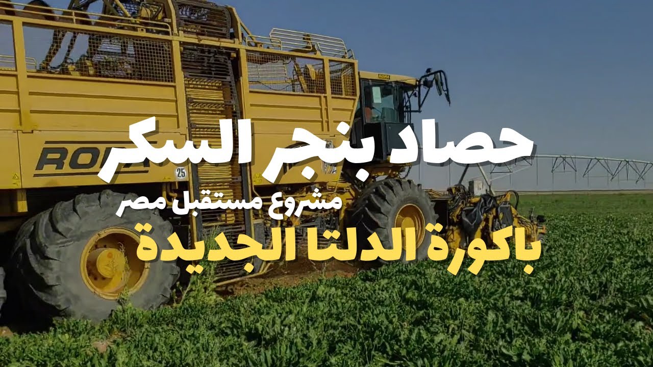 تصوير درون | حصاد محصول بنجر السكر من داخل مشروع مستقبل مصر - تنفيذ البنية التحتية  لمشروع بني سويف
