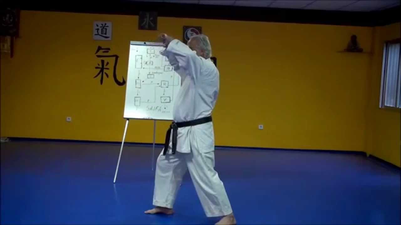 KATA SAIFA POR ANDRES CONGREGADO