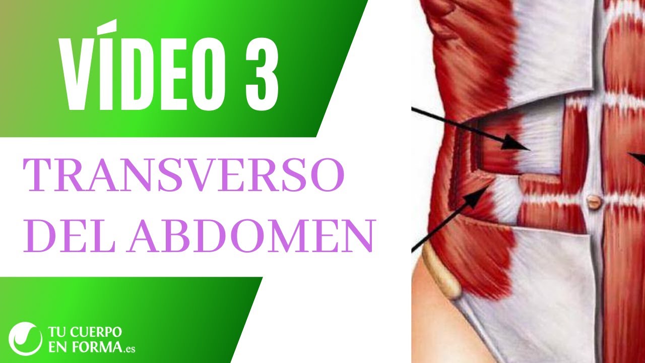 Vídeo nº3: TRANSVERSO DEL ABDOMEN / MULTIFIDUS /Anatomía & Activaciones Básicas PILATES