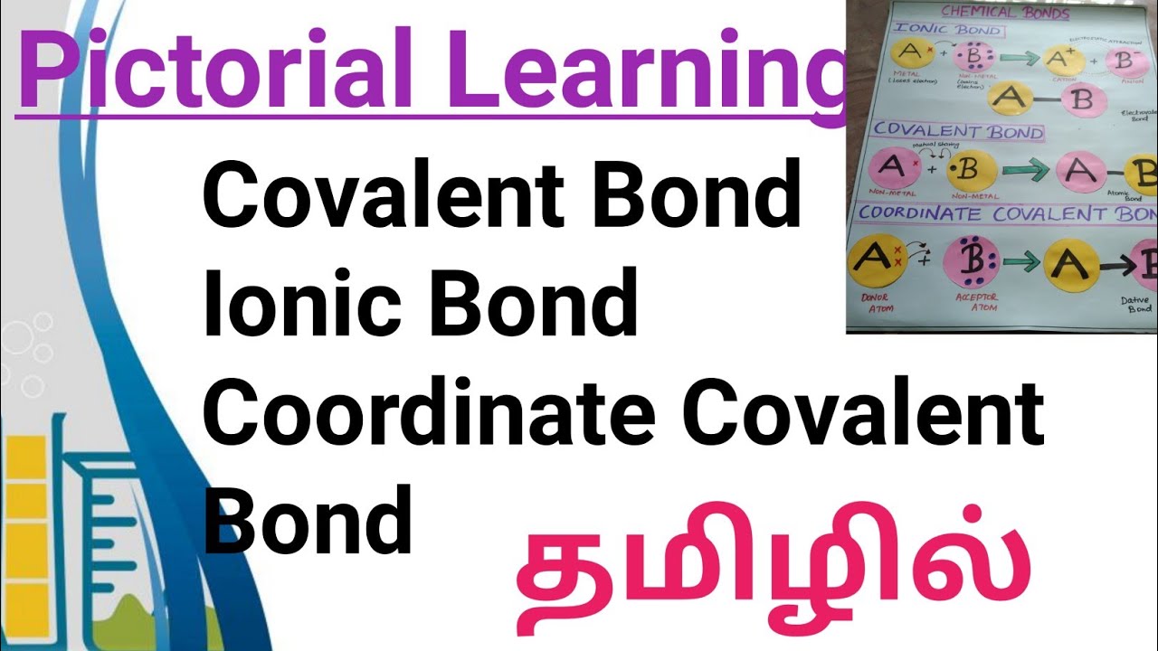 Types of Chemical Bonds | CHEMICAL BONDING- in Tamil
