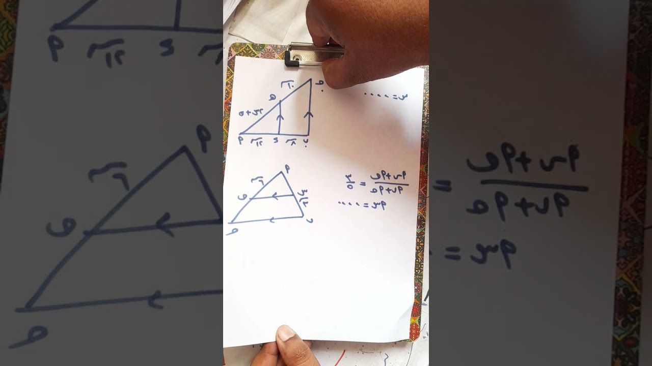 مراجعة هندسة اولى ثانوي شهر نوفمبر ٢٠٢٦