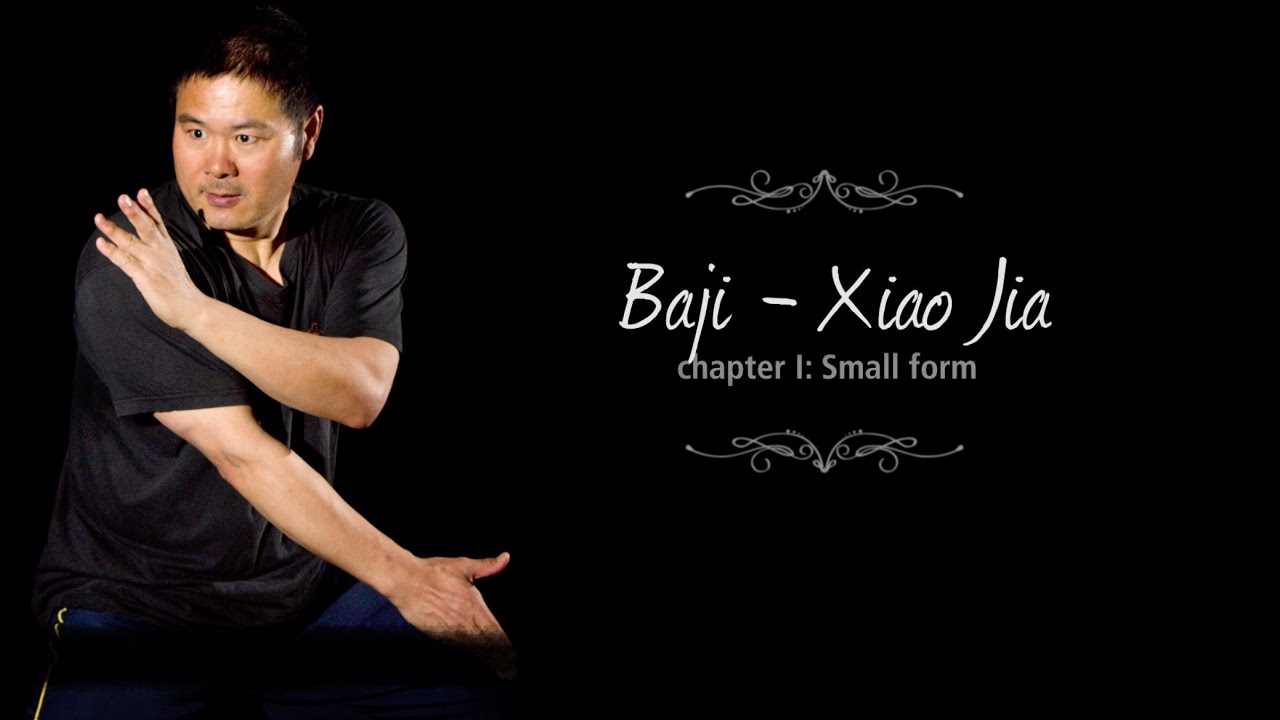 Baji - Xiao Jia With Sifu Lü Baochun Chapter I - Small form