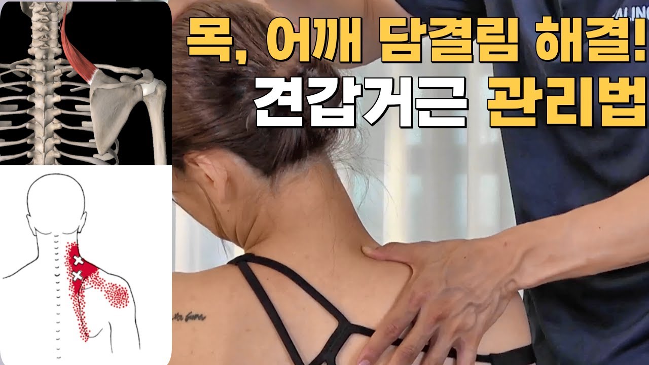 목어깨 담결림을 해결하는 근육 관리법 / 목어깨가 항상 뻐근하신분 이영상 끝까지 보세요