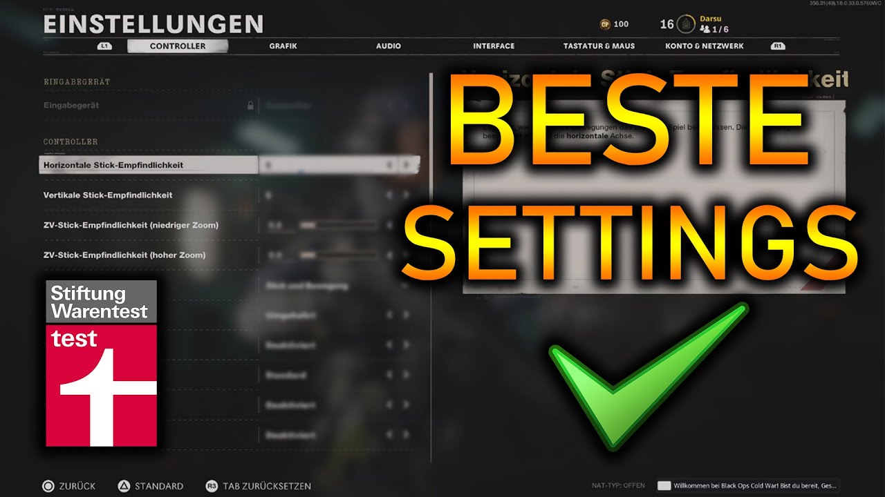 Die BESTEN E-SPORT SETTINGS für BLACK OPS COLD WAR (PS5/PS4/XBOX)