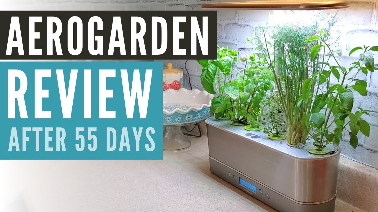 Обзор AeroGarden спустя 55 дней | Обзор AeroGarden, эпизод 4