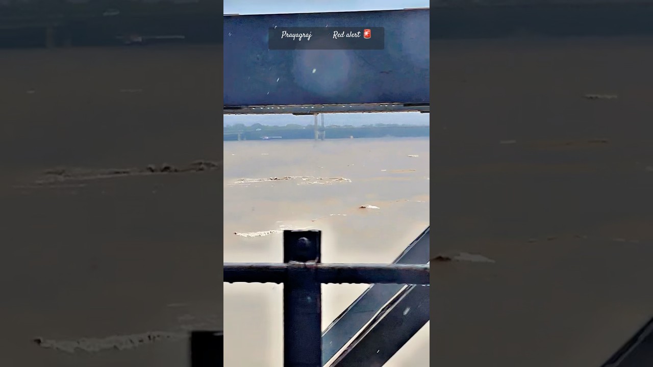 Prayagraj |yamuna bridge| red alert |flood|old yamuna bridge| 