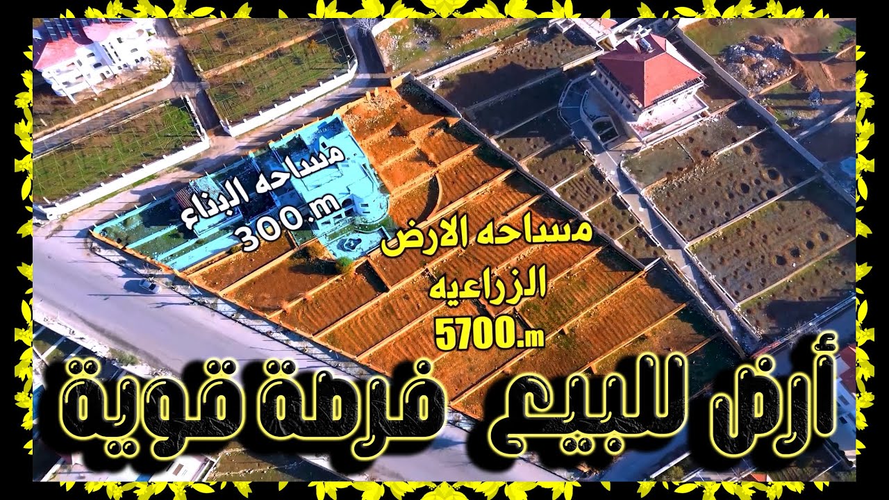 عقار تضرر بالحرب | أرض 6000م وقصر بحاجة ترميم بسعر دونم 77 ألف دولار 💎