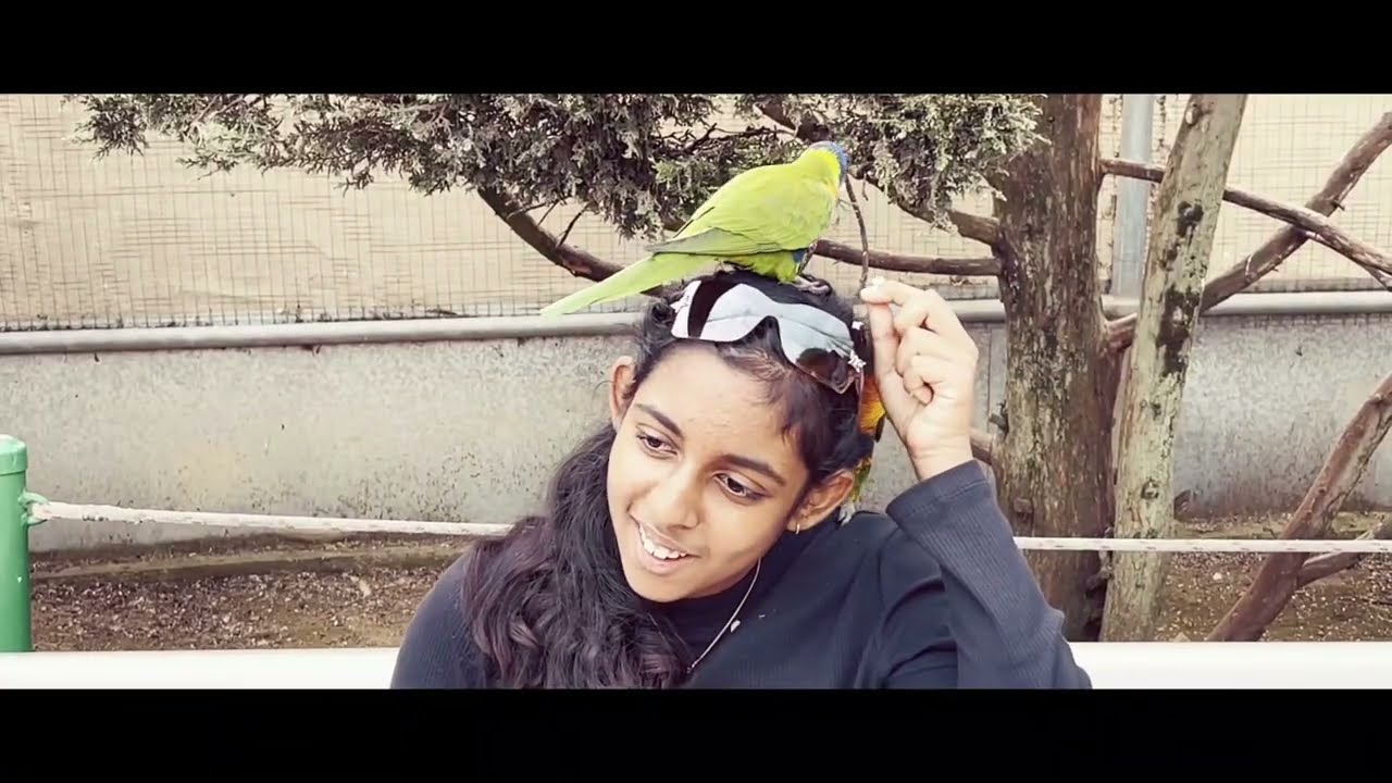 Walk-In Bird Aviary Canberra