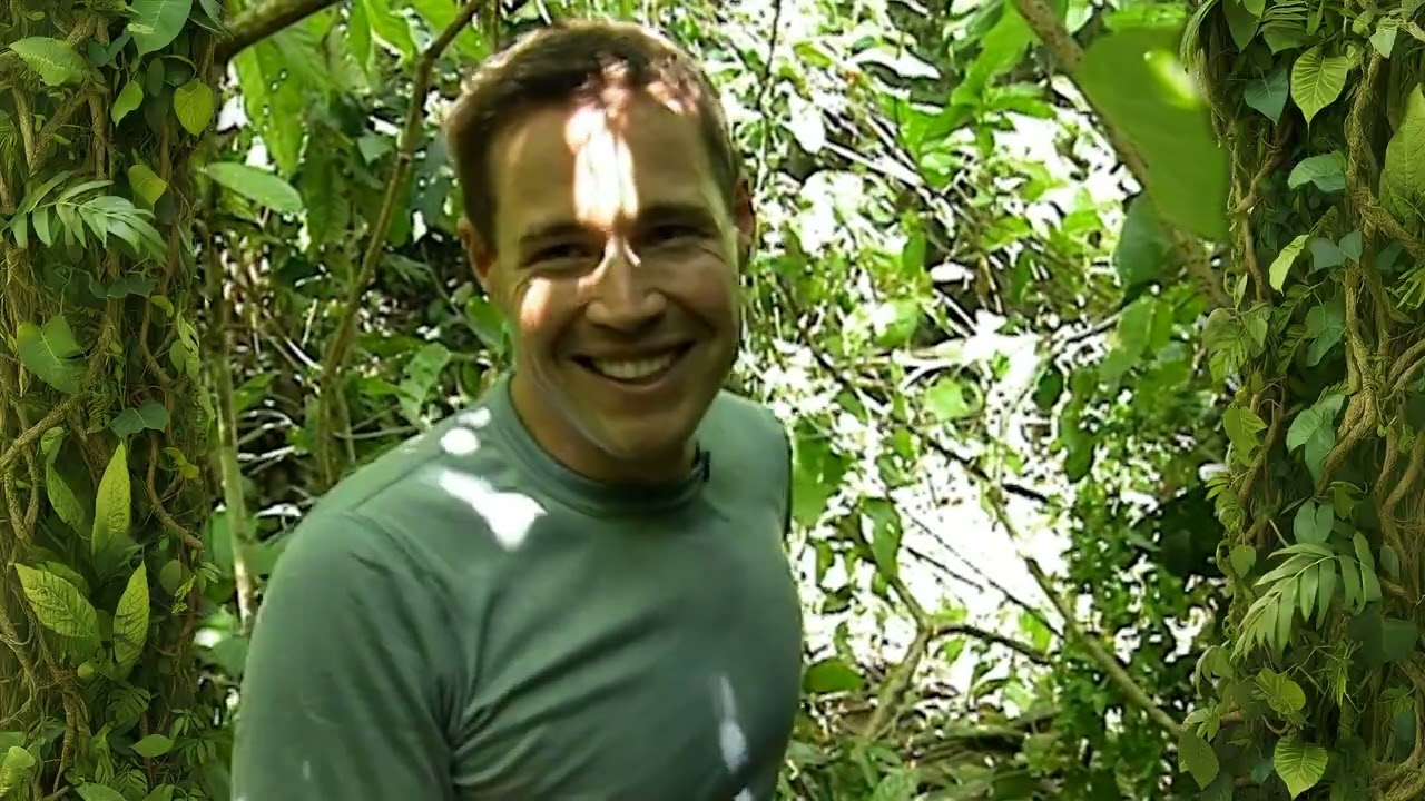 search for the lost pygmy elephants of Borneo