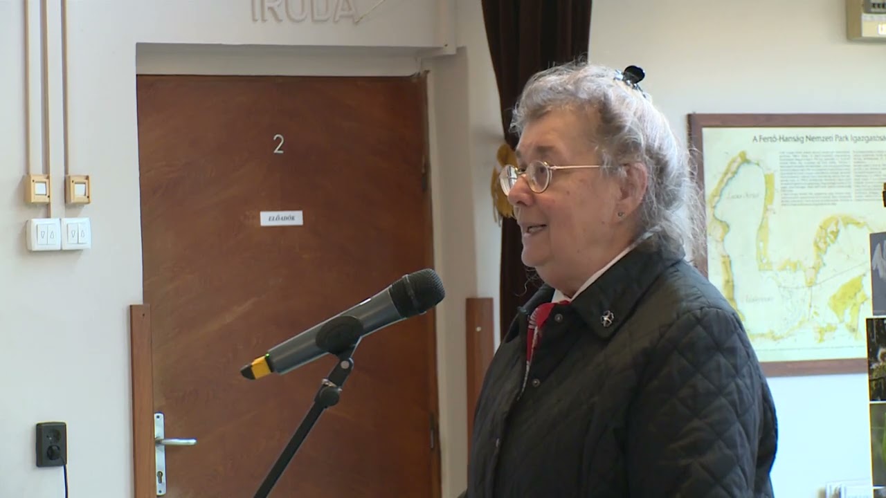 Luxemburgi Zsigmond lehetett Hunyadi János apja? Érdekességek a magyar király életéről.