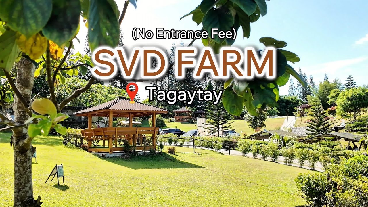 SVD Farm, Tagaytay City | pet-friendly | no entrance fee | 4KUHD