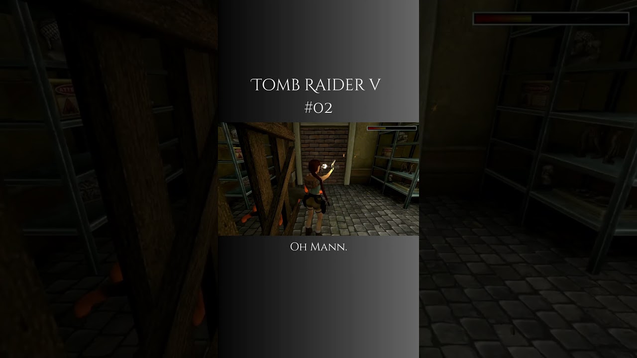 Let's Play TOMB RAIDER V #02