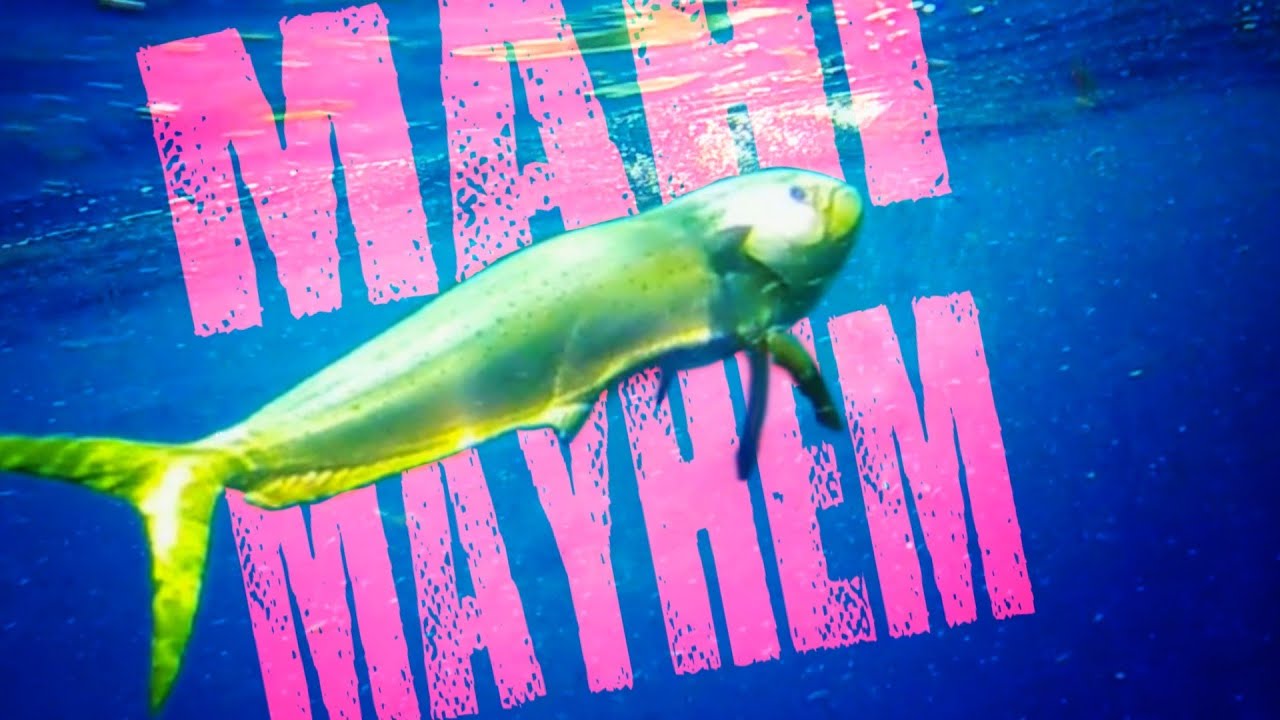 Ловля ваху и махи 4K | ЭКСТРЕМАЛЬНАЯ техасская морская рыба!