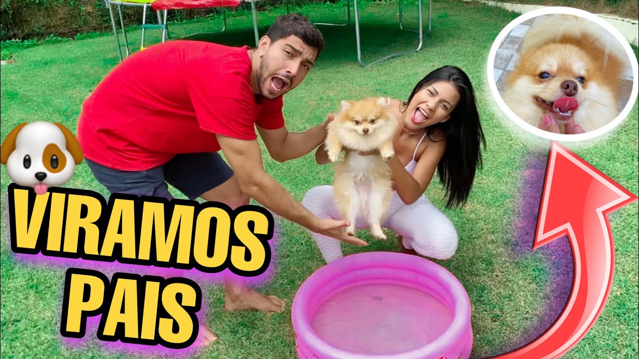 VIRAMOS PAIS DE UM CACHORRINHO por horas!!! *DESESPERO TOTAL*