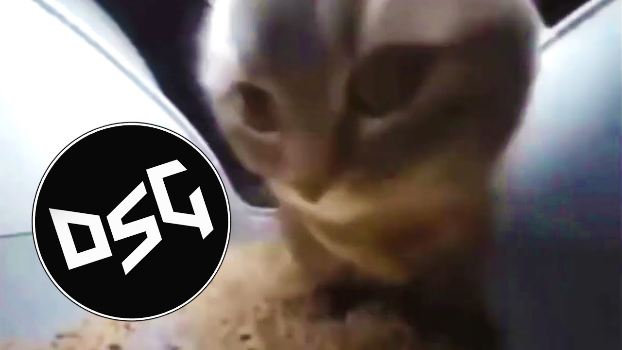 CHIPI CHIPI CHAPA CHAPA (XPLOSN DUBSTEP REMIX)